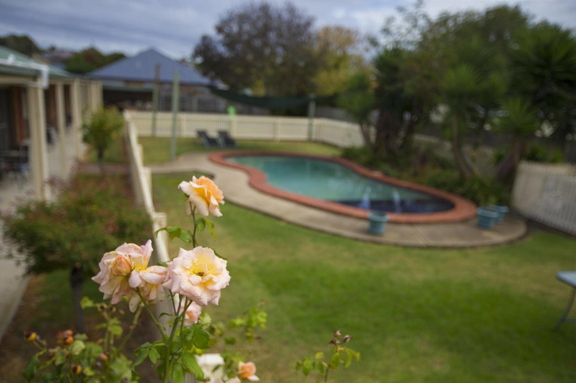 Rose Garden Motel Geelong Exteriér fotografie