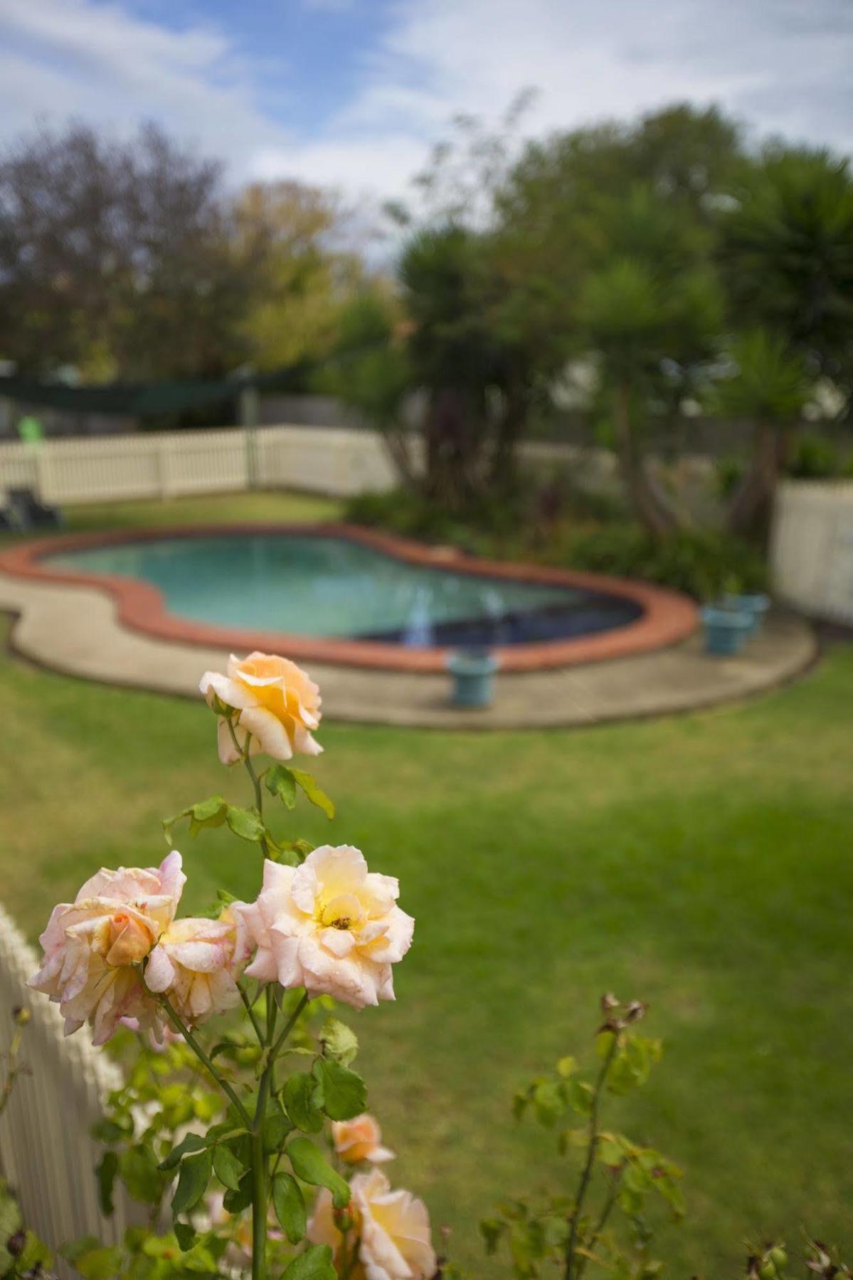Rose Garden Motel Geelong Exteriér fotografie